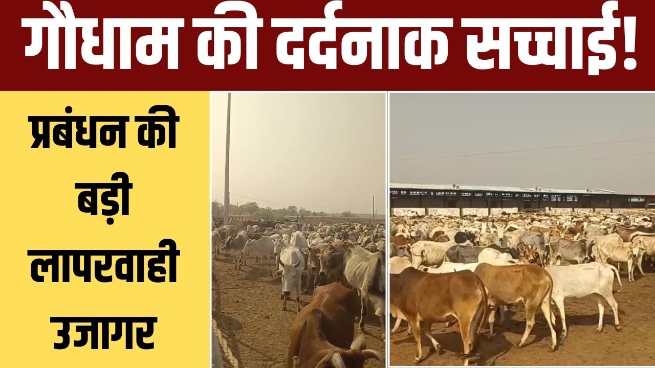 हिनौती के गदही गौधाम की हालात बदहाल