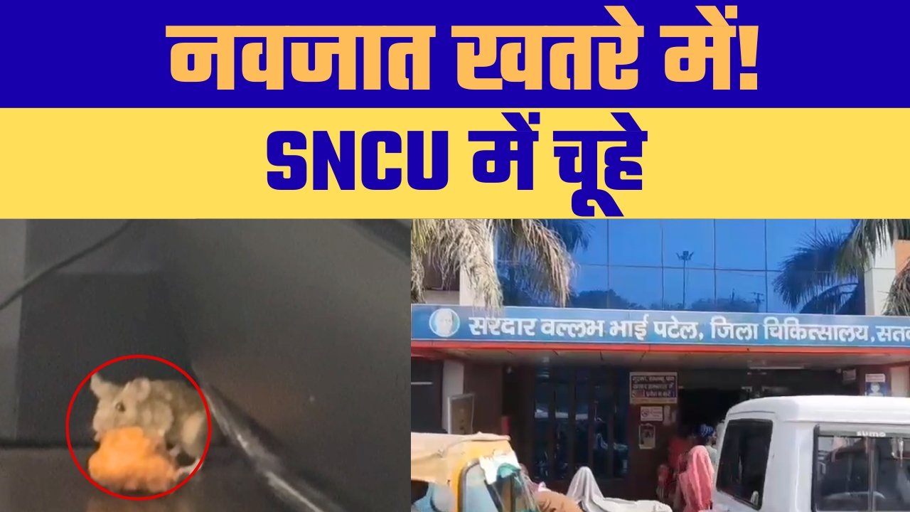 एसएनसीयू में चूहों की मौजूदगी, 40 से ज्यादा नवजातों की सुरक्षा पर सवाल