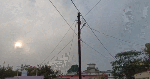 सुंदर पूर्वा में दर्दनाक हादसा, करंट की चपेट में आया बैल