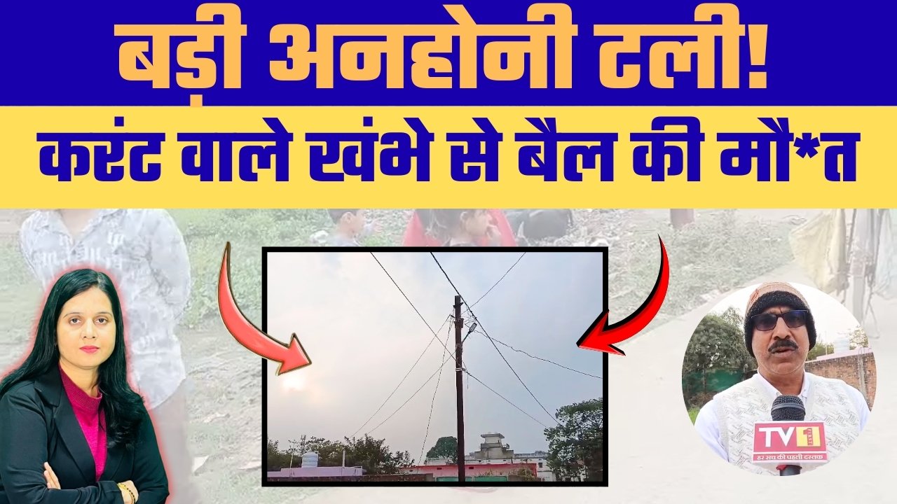        सुंदर पूर्वा में दर्दनाक हादसा, करंट की चपेट में आया बैल, खंभे में अचानक करंट उतर आया