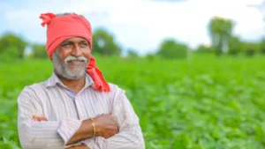 उड़द की खेती को बढ़ावा देने के लिए 600 रुपये बोनस