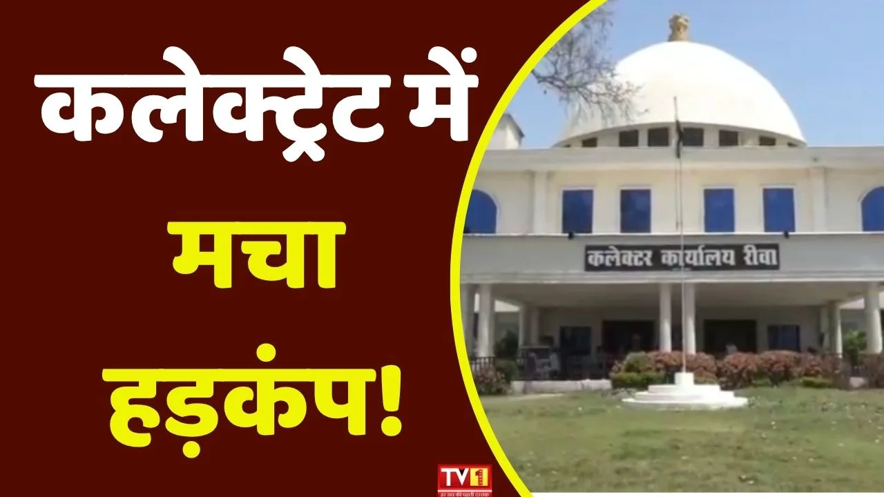 Collector cracks down on late-coming employees: