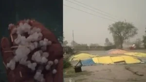 Madhya Pradesh में Orange Alert, 60 KM/H की तेज हवाओं का खतरा