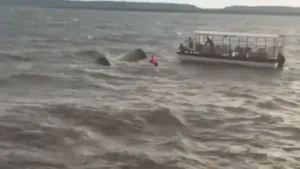 Cruise Accident