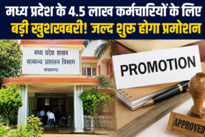 MP Promotion News: