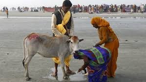 गाय को राष्ट्रीय पशु घोषित करने की मांग: