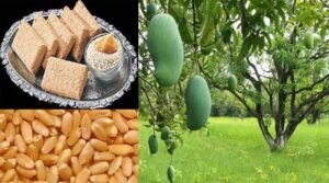 मध्यप्रदेश ने रचा इतिहास :