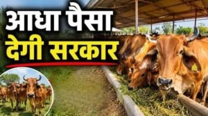 डेयरी खोलें, पाएं ₹11.80 लाख :