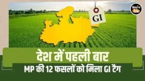 मध्यप्रदेश ने रचा इतिहास :