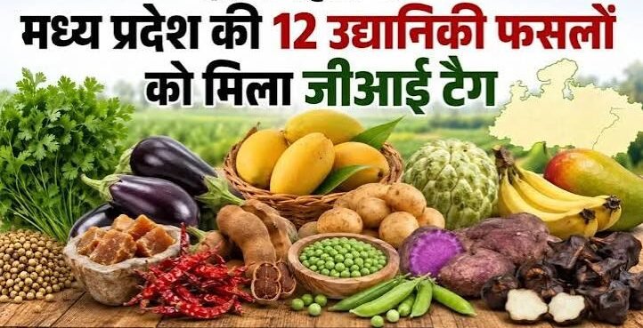 मध्यप्रदेश ने रचा इतिहास! एक साथ 12 कृषि और उद्यानिकी उत्पादों को मिला GI टैग, किसानों को मिलेगा बड़ा फायदा
