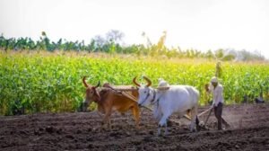 Pragati Yojana 2026:
