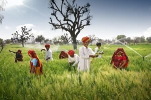किसानों के लिए खुशखबरी:  