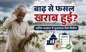 बाढ़ का मुआवजा कैसे मिलेगा: 